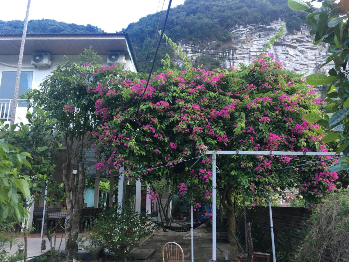 Dong Khe Sau Cat Ba Countryside Homestay מראה חיצוני תמונה
