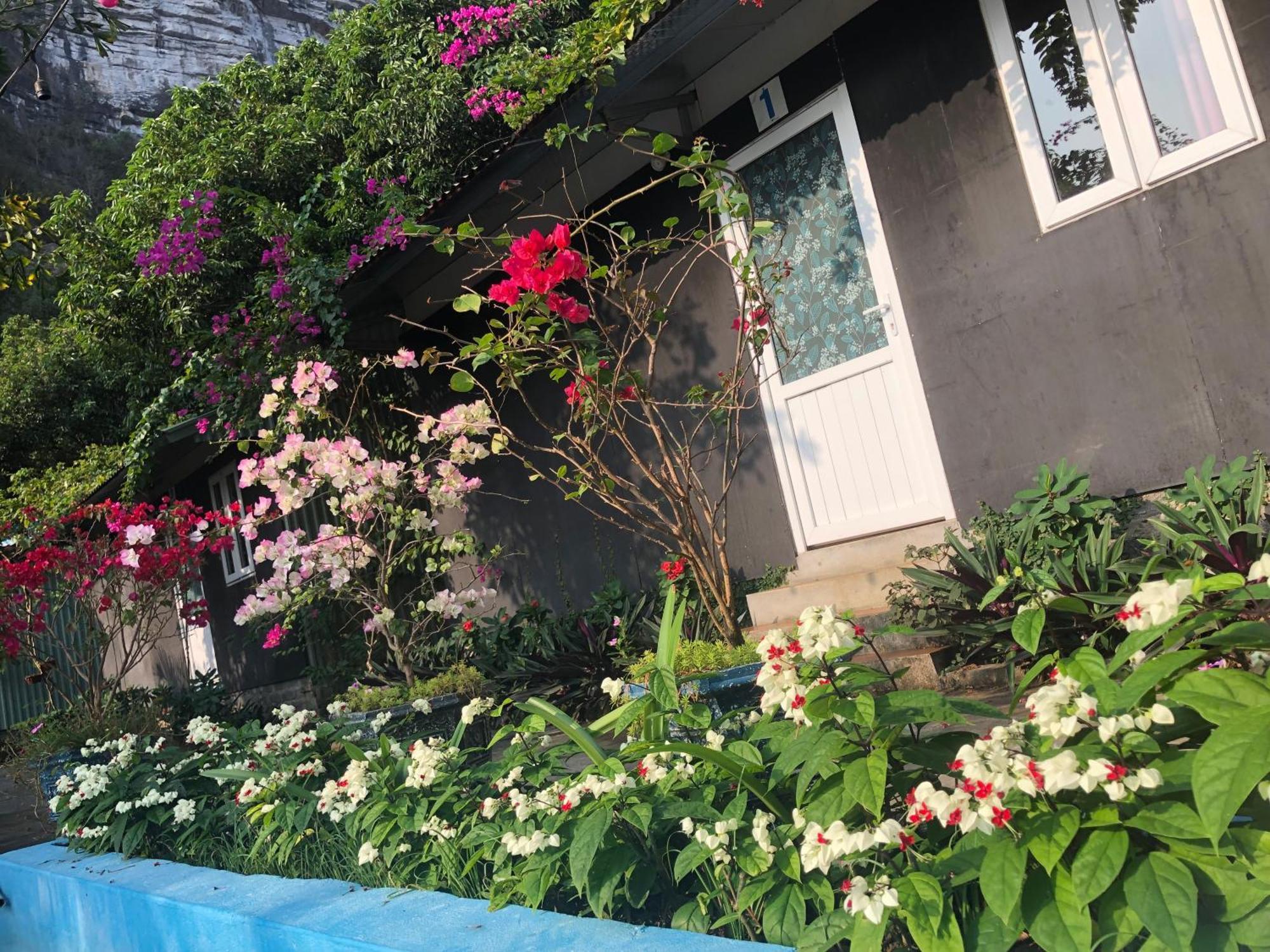 Dong Khe Sau Cat Ba Countryside Homestay מראה חיצוני תמונה